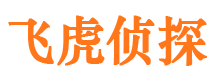 资中市调查公司